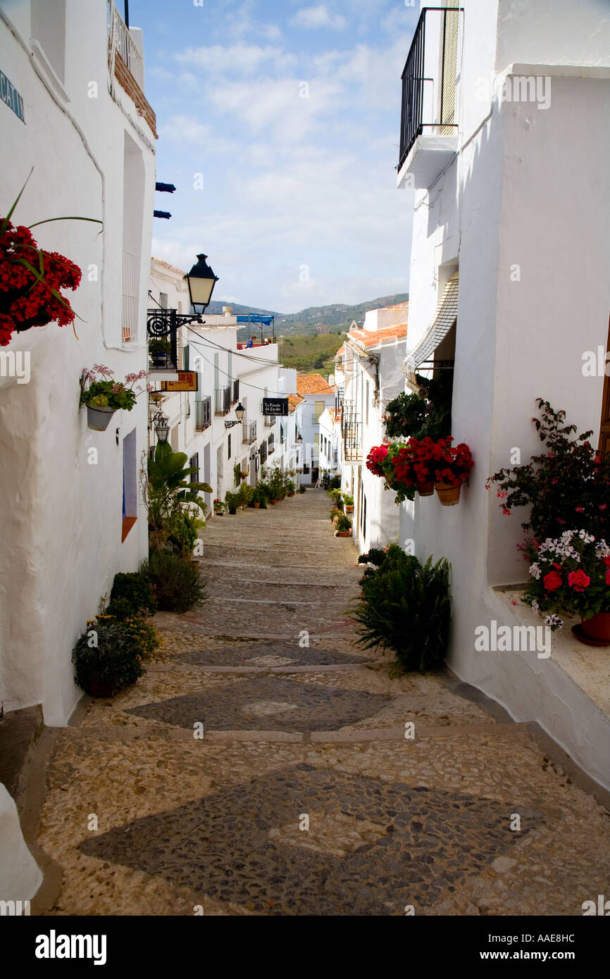 White washed Spanish houses in Frigiliana Stock Photo Alamy