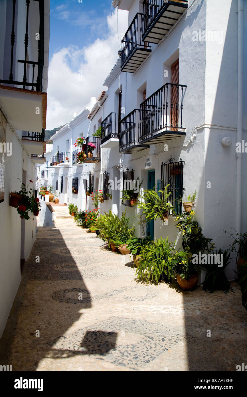 White washed Spanish houses in Frigiliana Stock Photo Alamy