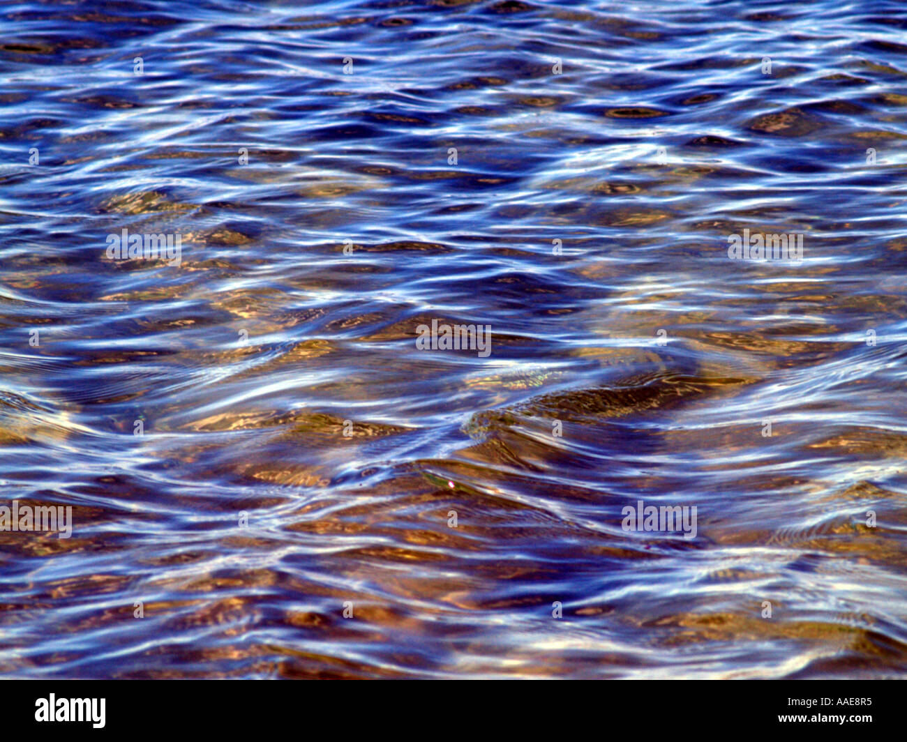 Shallow water shoreline hi-res stock photography and images - Alamy