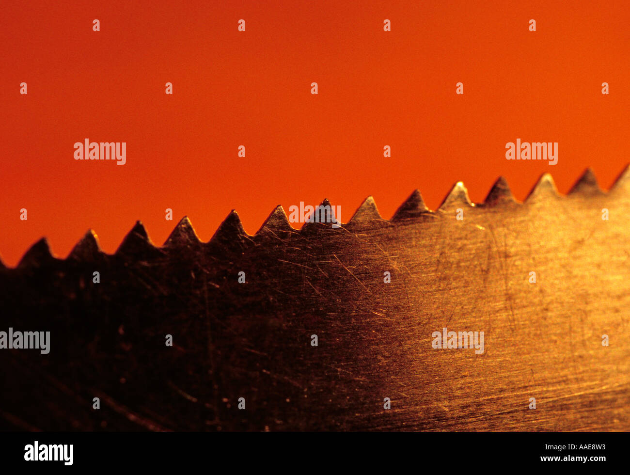 saw blade teeth Stock Photo Alamy