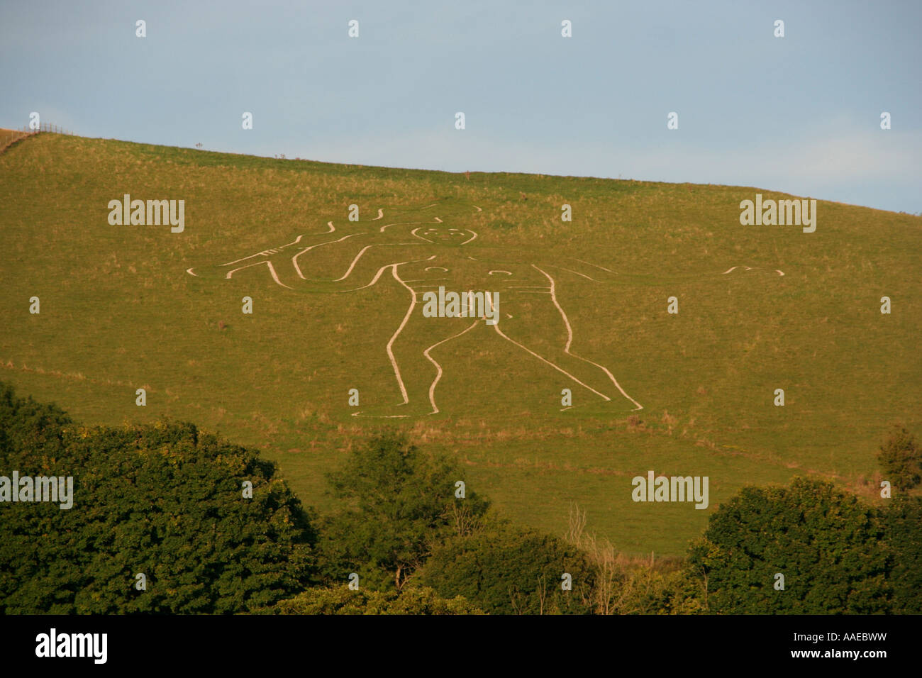 The Cerne Abbas Giant Giant Naked Man Hillside Carving Dorset England Uk Gb Stock Photo Alamy