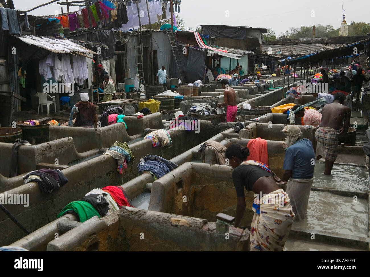 Laundry factory, Bombay, India Stock Photo Alamy