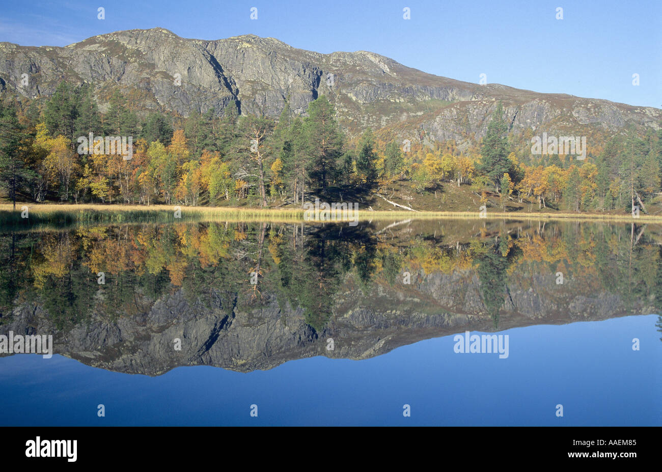 Reflections Stock Photo