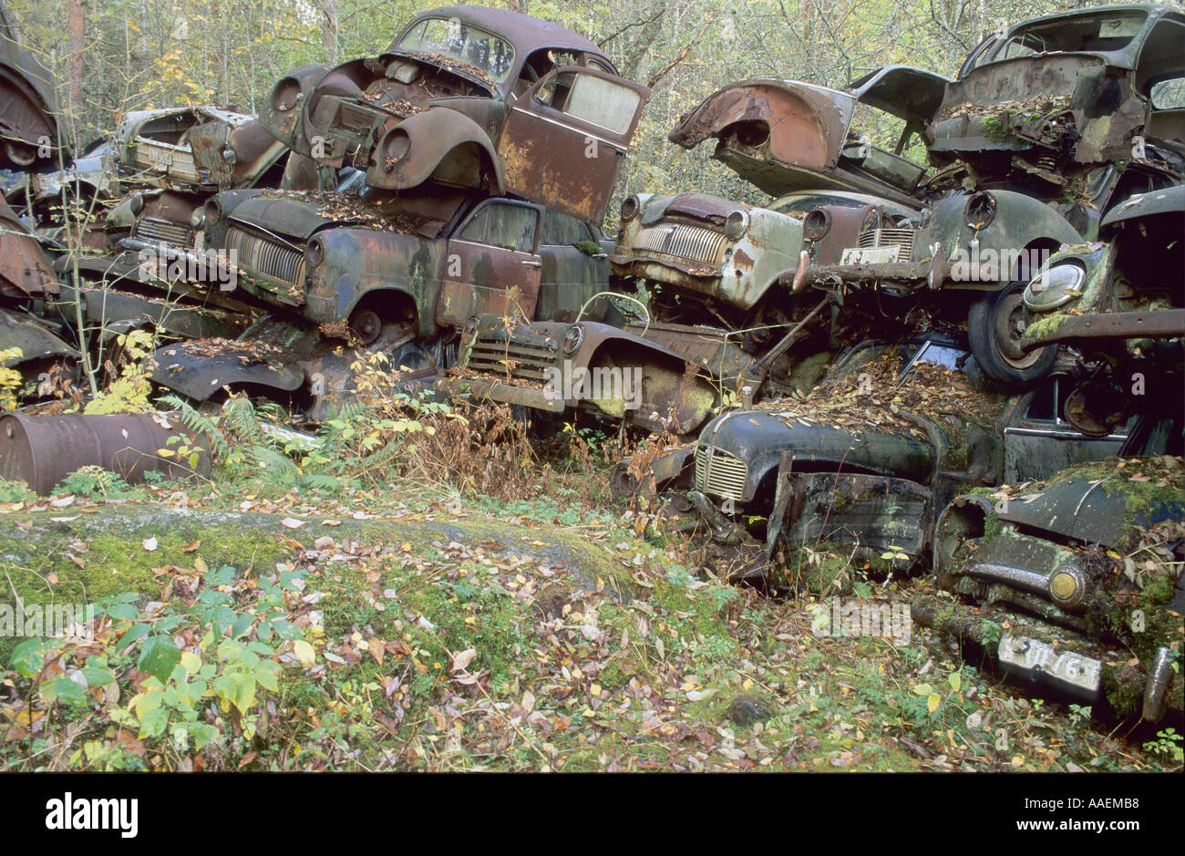 Abandoned vehicles woods hi-res stock photography and images - Alamy