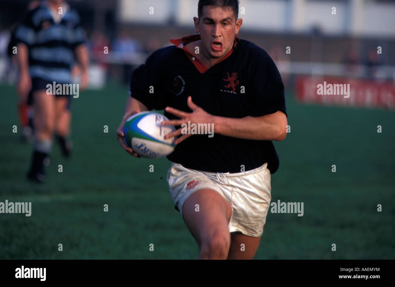Rugby player running London Scotts Richmond Rugby Ground London London England United Kingdom Stock Photo