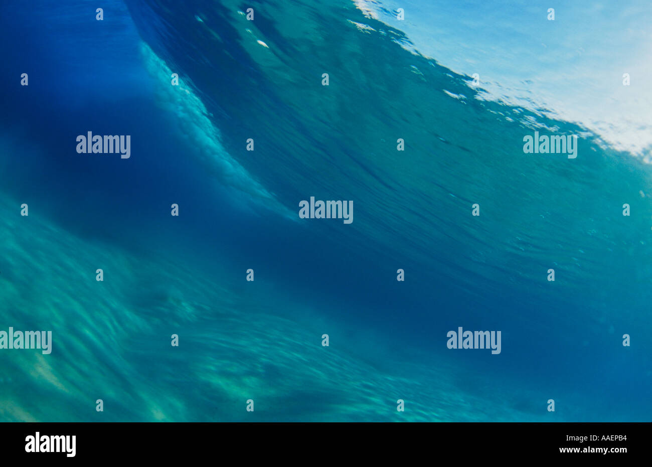 Underwater view of breaking wave Qld Australia Stock Photo Alamy
