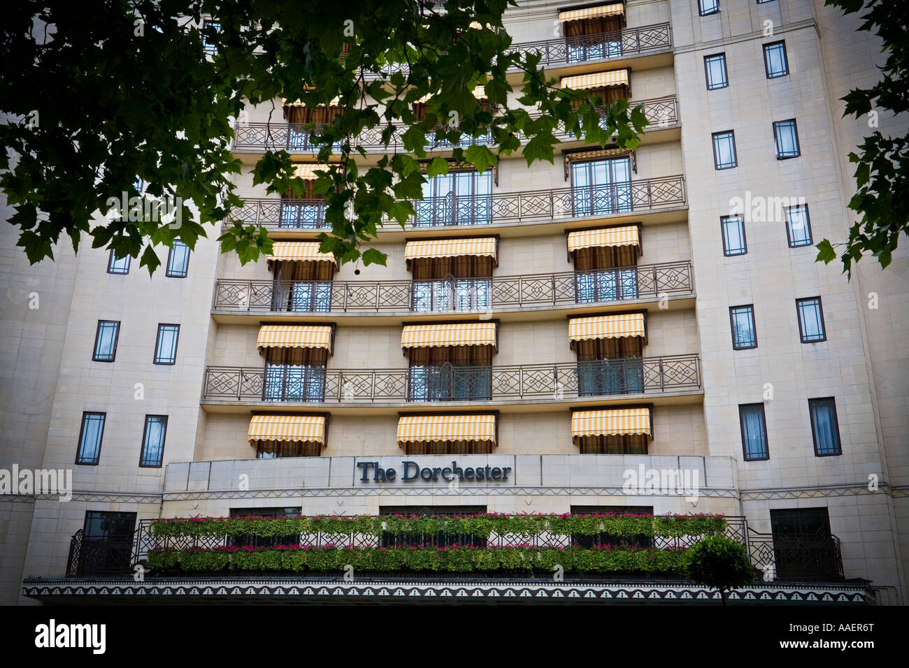 The Dorchester Hotel on Park Lane London SW1 Stock Photo