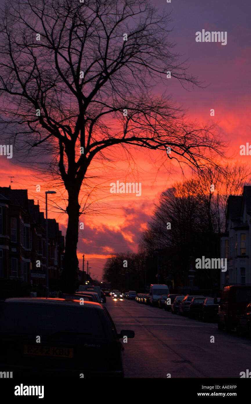Sunset, Clarendon Road, Whalley Range, Manchester, UK Stock Photo - Alamy