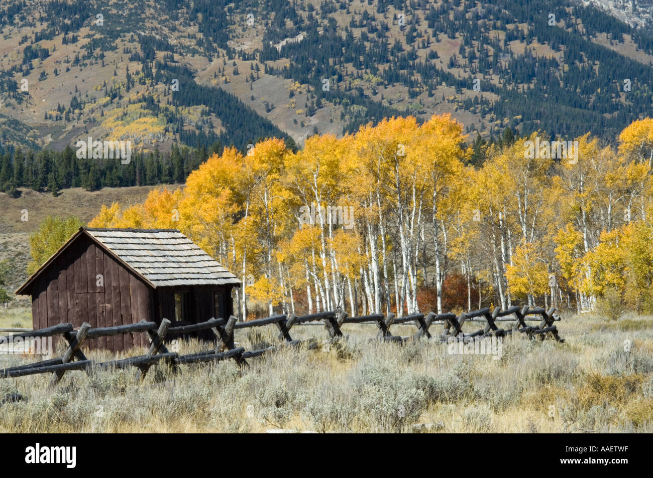 Aspen Grove Rv Park Campsite Photos
