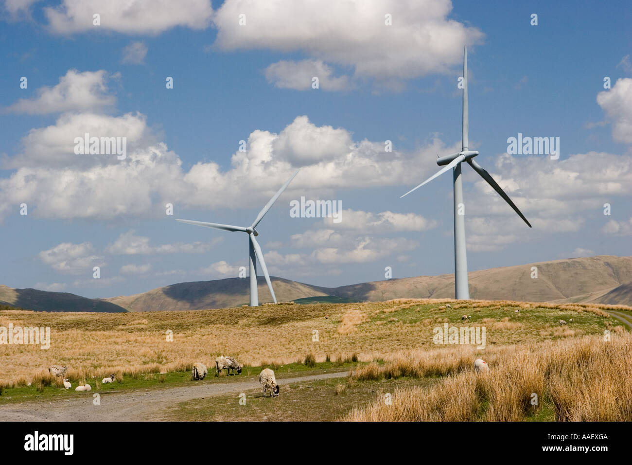 Renewable electricity; three Wind turbines wind energy converter at