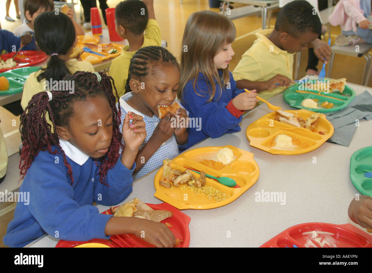 Primary school canteen with children eating lunch Stock Photo Alamy