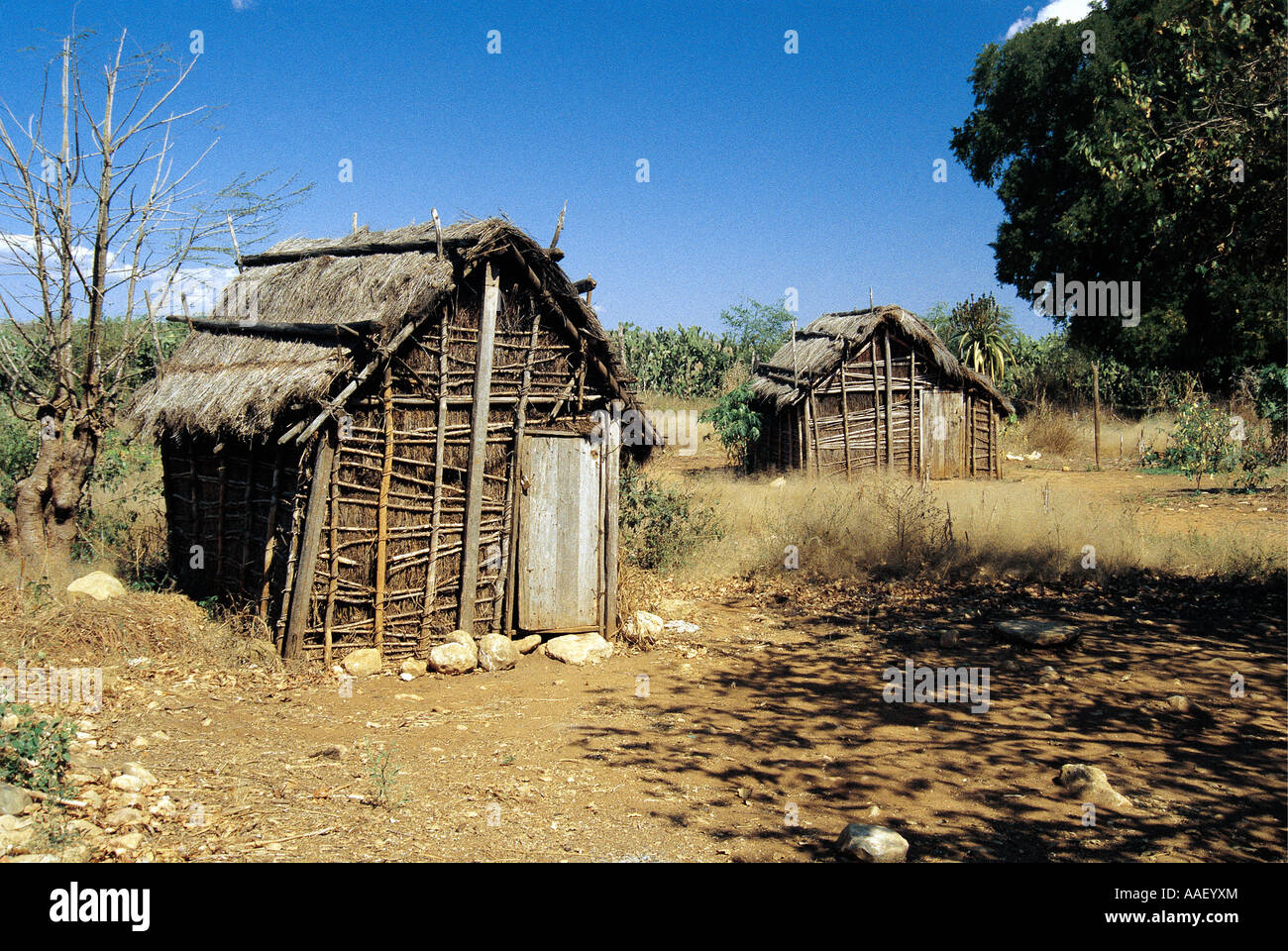 Typical housing of Bara tribe Bantu origin near Toliara Tulear Stock ...