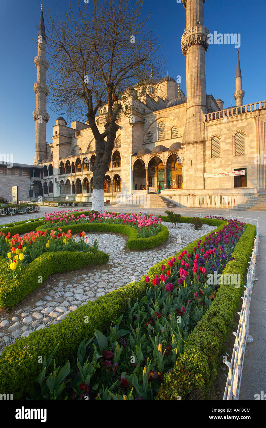 the Blue Mosque Sultanahmet Istanbul Turkey Stock Photo - Alamy