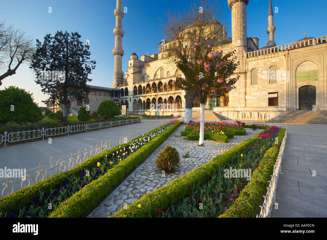 the Blue Mosque Sultanahmet Istanbul Turkey Stock Photo - Alamy