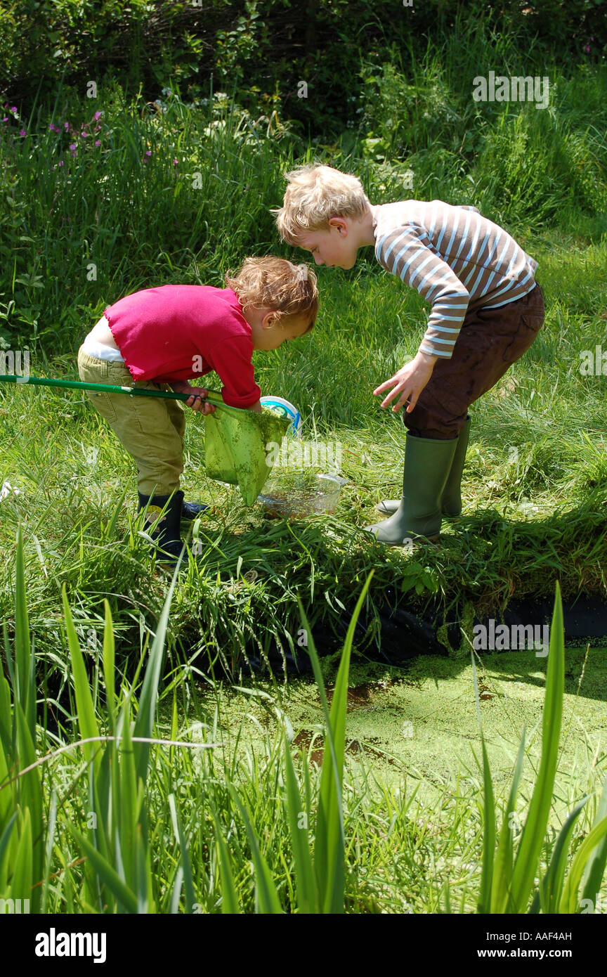 Children playing with fishing nets in garden pond Stock Photo - Alamy