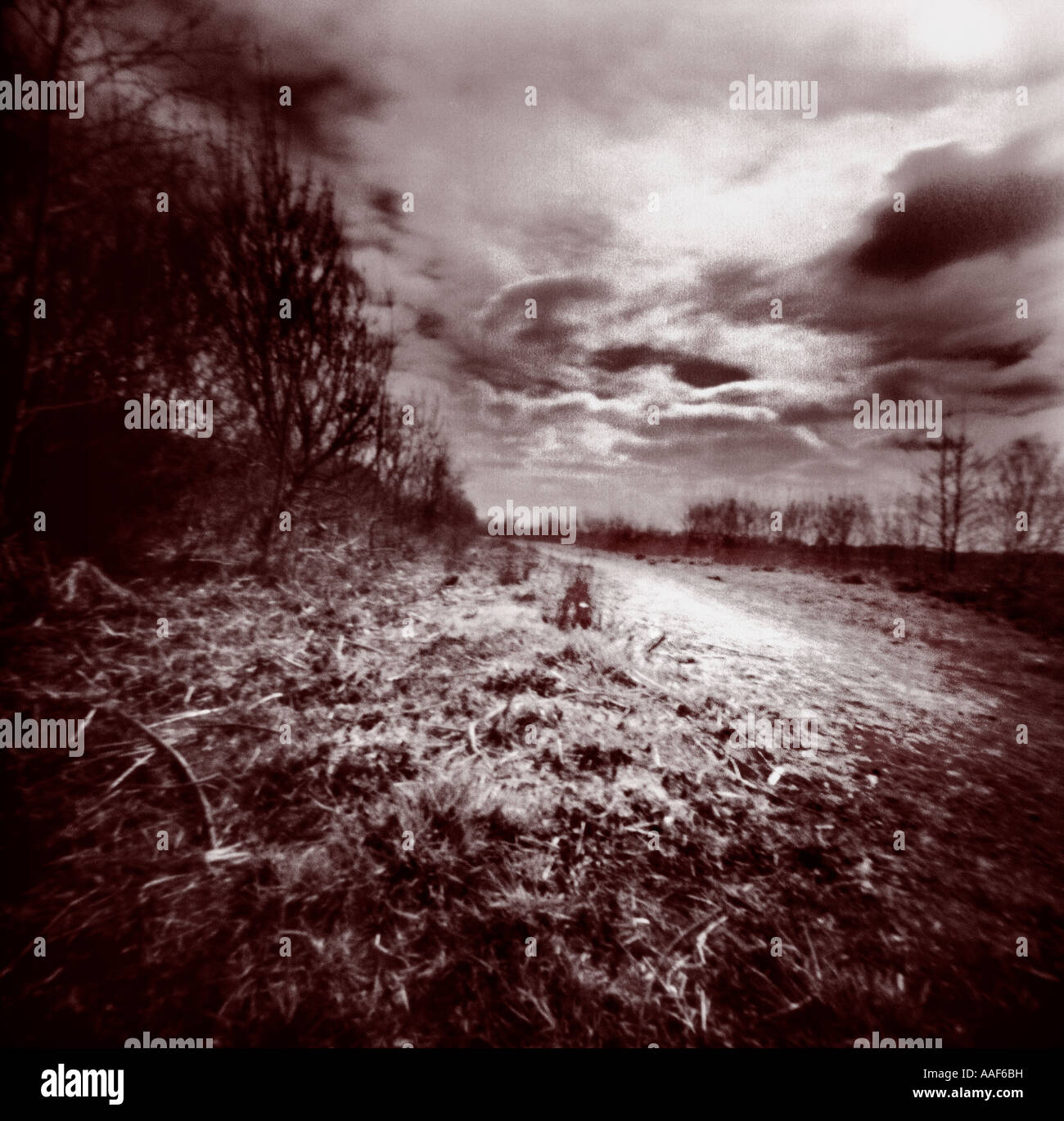 rural pathway Broome Suffolk engalnd Stock Photo Alamy