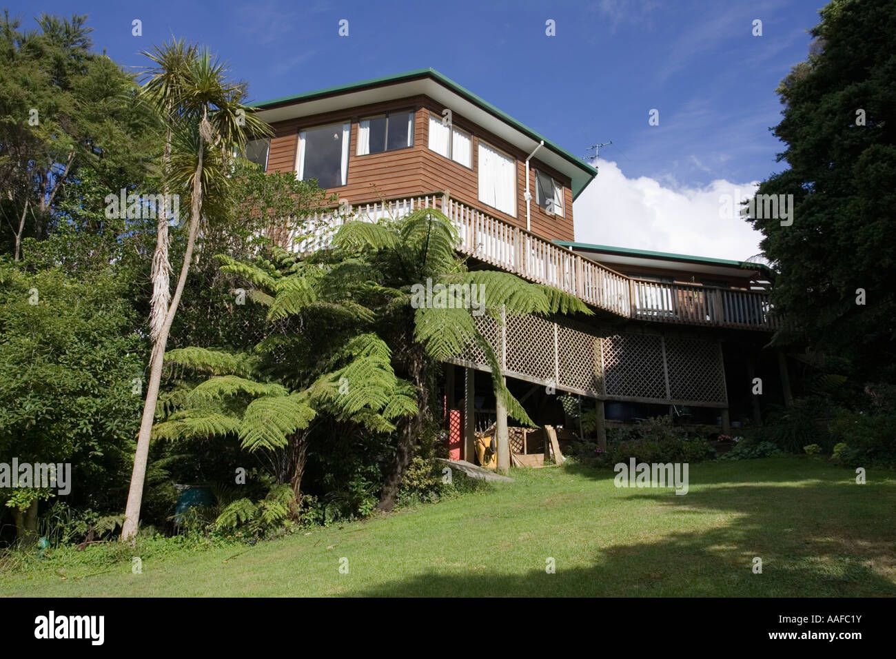Typical detached timber house on raised piles surrounded by native bush