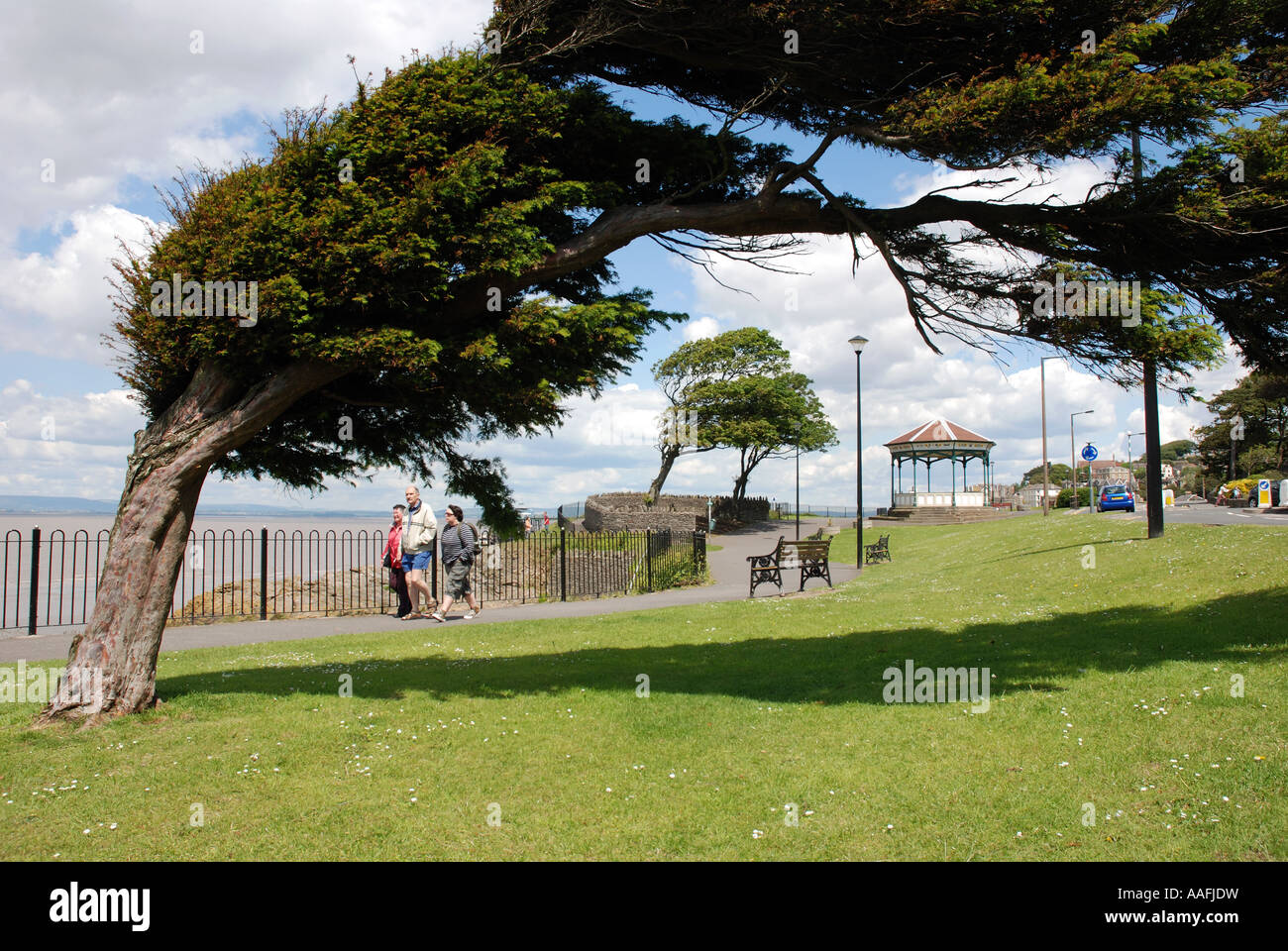 Wind swept trees on sea front, Clevedon, Somerset, England, UK Stock Photo
