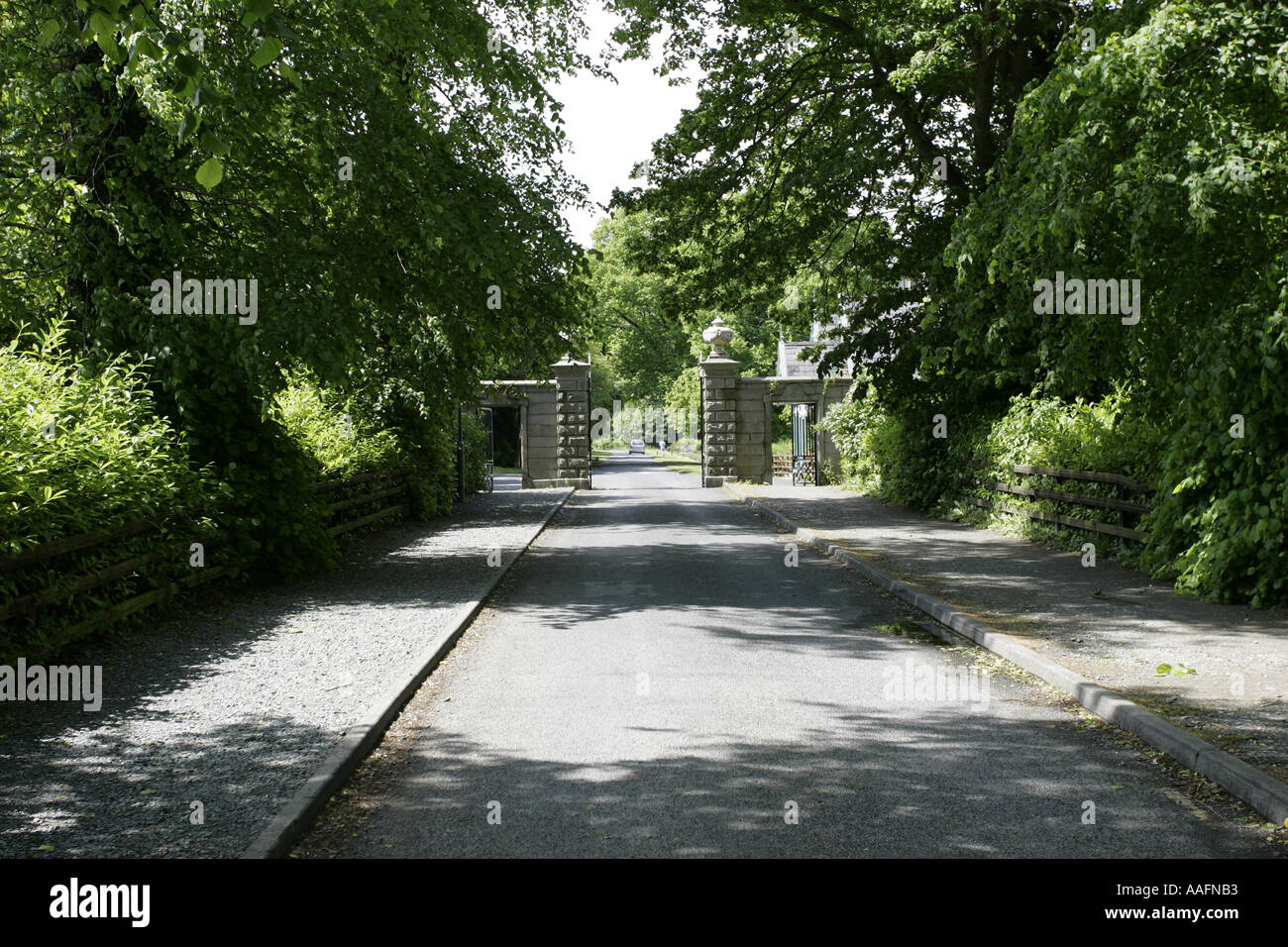 Entrance to Castlewellan Forest Park County Down Northern Ireland Stock Photo