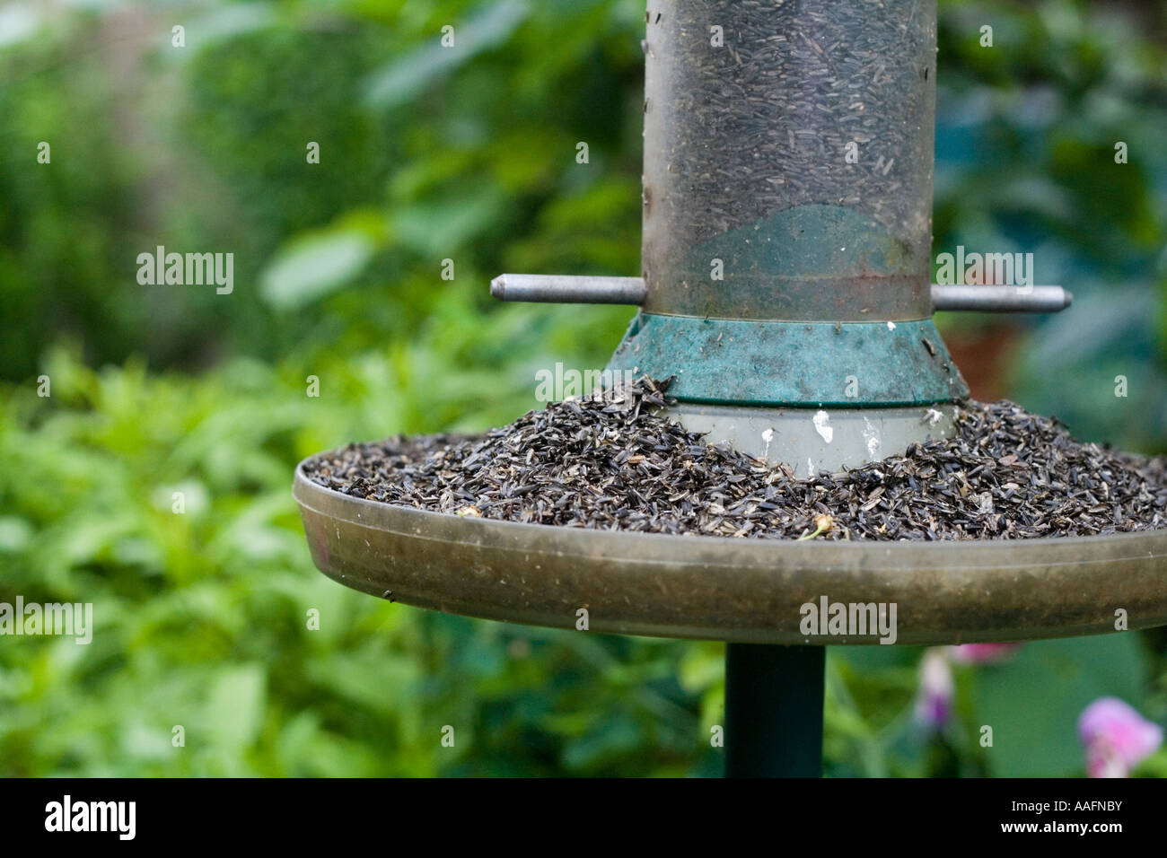 Niger Seed Bird Feeder Stock Photo 12617054 Alamy