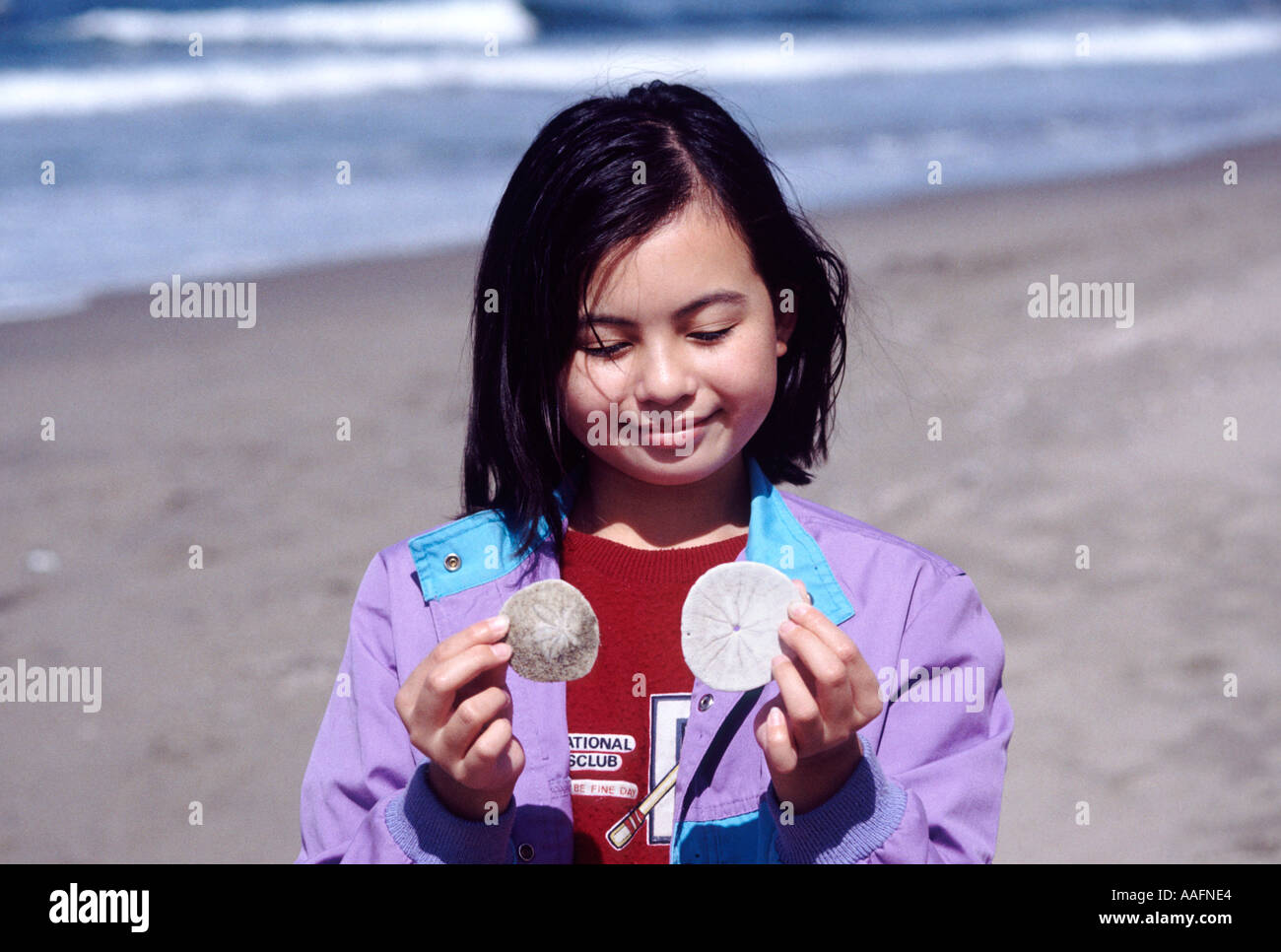 15914 ten year old girl holds sand dollars ocean beach