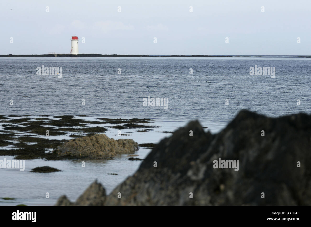 solar powered lighthouse at Angus Rock Strangford Lough County Down Northern Ireland Stock Photo