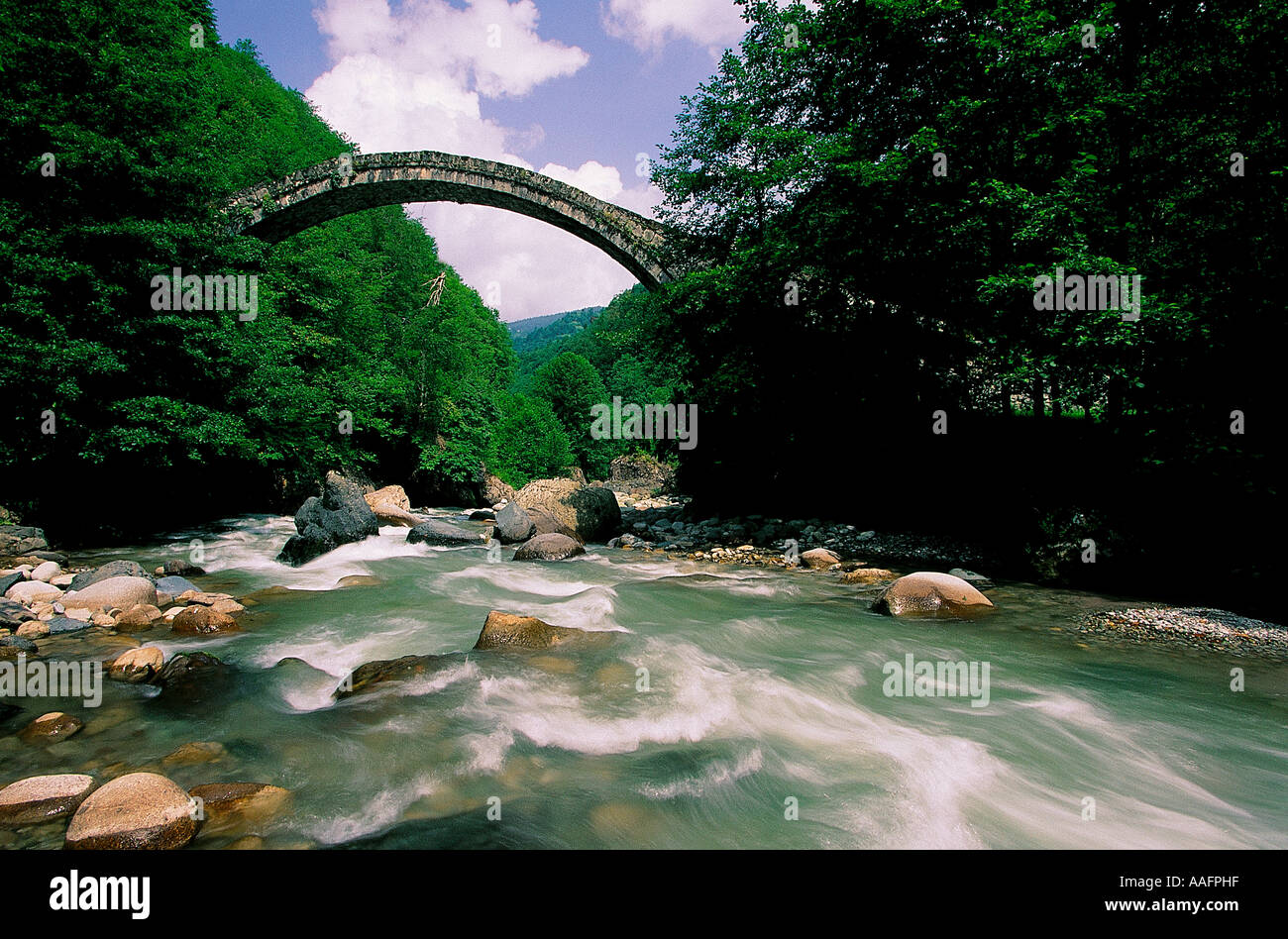 Historical stone arch bridge in Rize Mountains, Black Sea Region, Turkey. Stock Photo