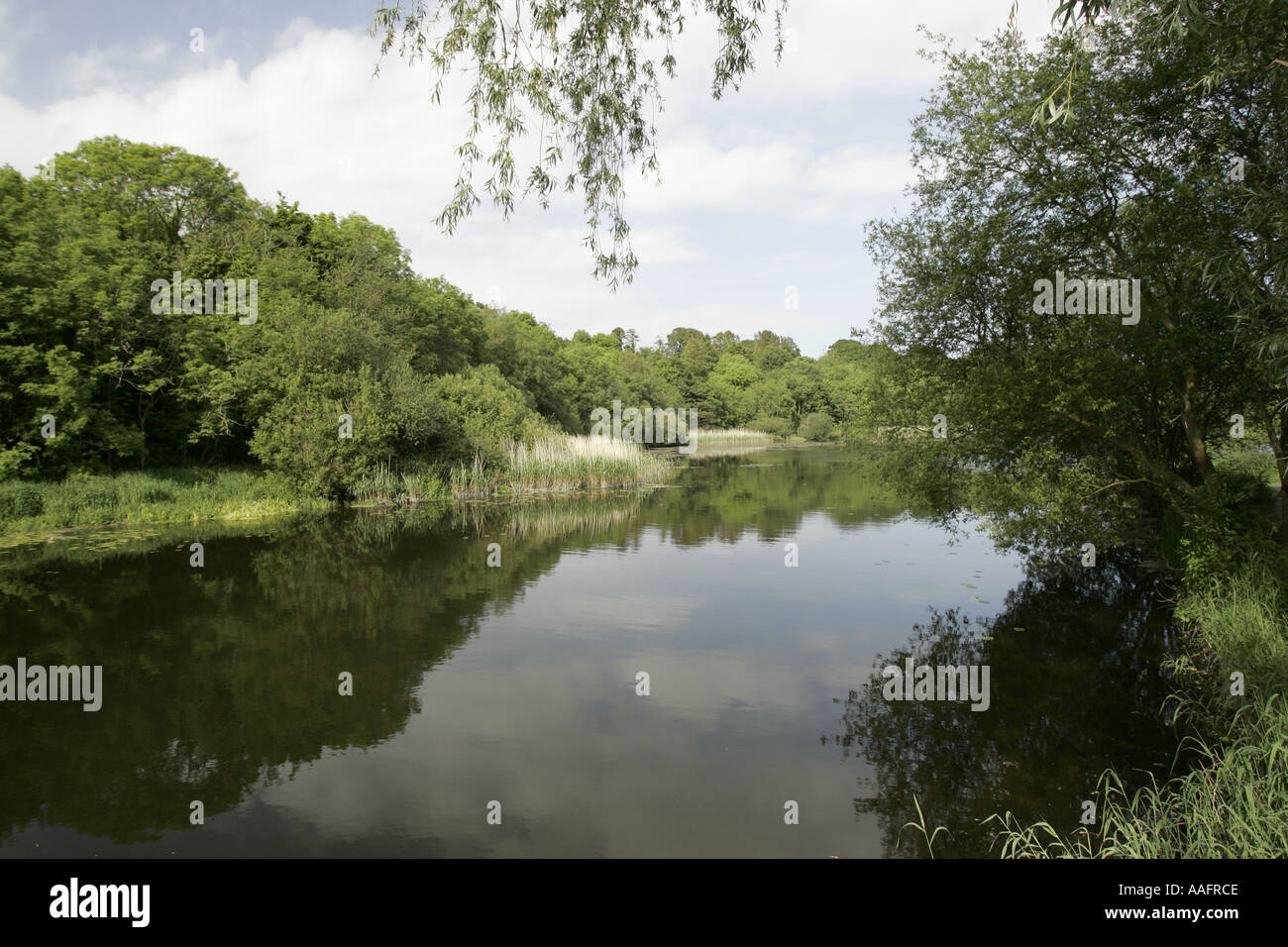 Quoile river near downpatrick county down northern ireland Stock Photo