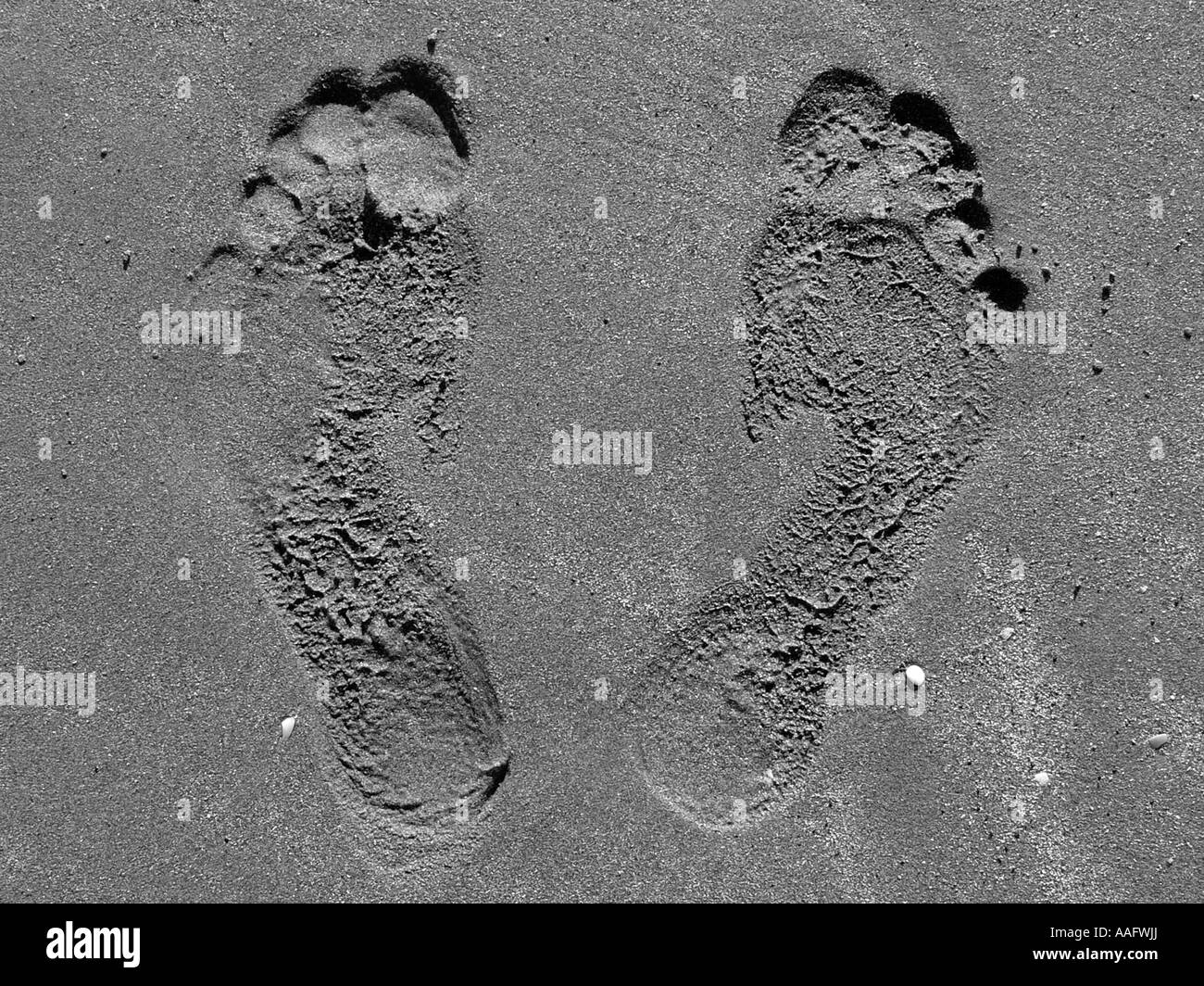 Footprints in sand Stock Photo Alamy