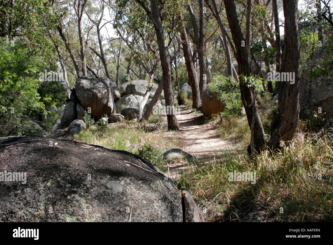 Sentimental walk hi-res stock photography and images - Alamy
