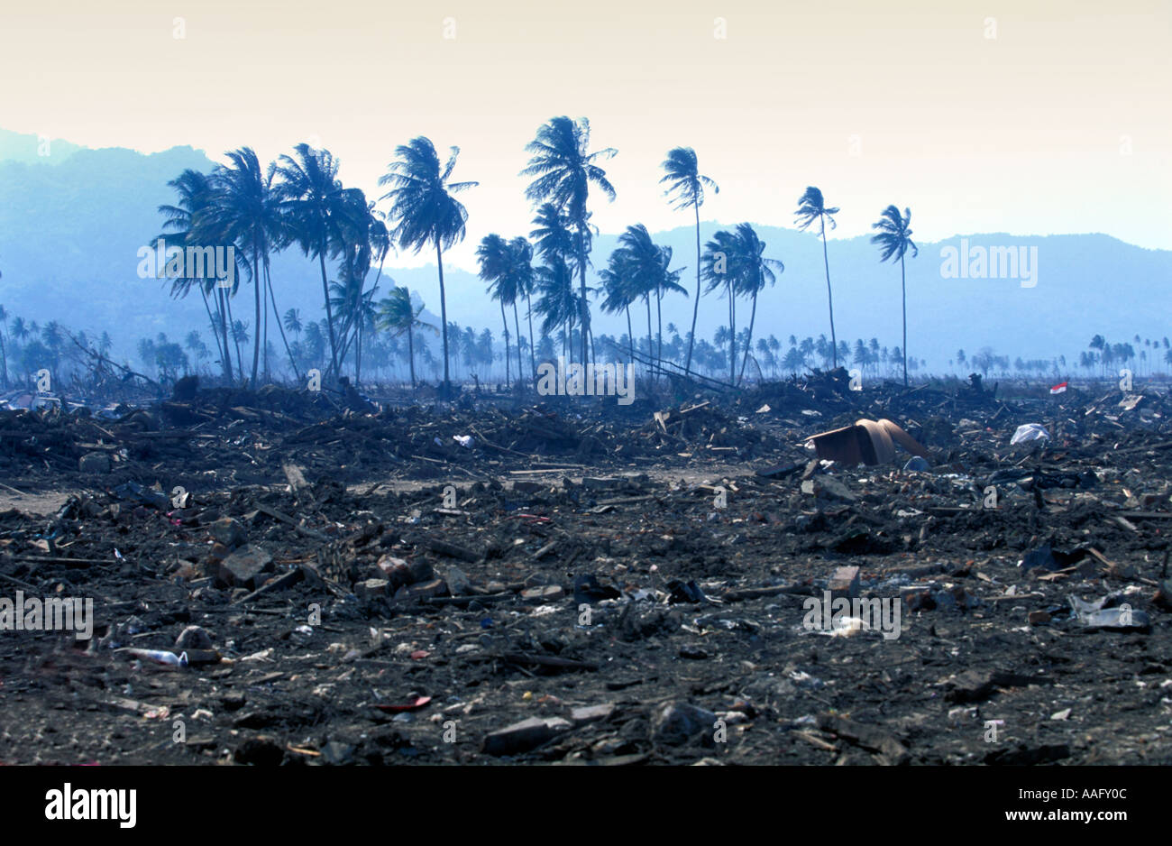 Tsunami banda aceh