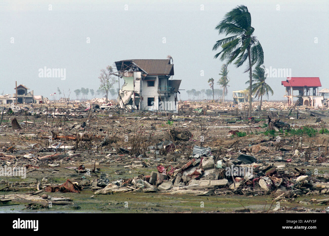 Tsunami Banda Aceh Sumatra Indonesia 2004 Stock Photo 4120382 Alamy