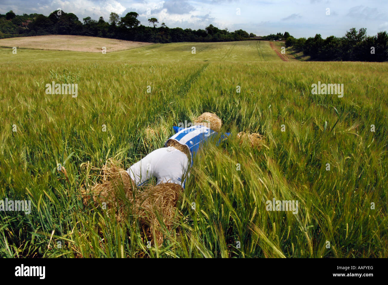 A scarecrow dressed in Brighton and Hove Albion Football Club strip lying on site of new  stadium in Falmer Stock Photo