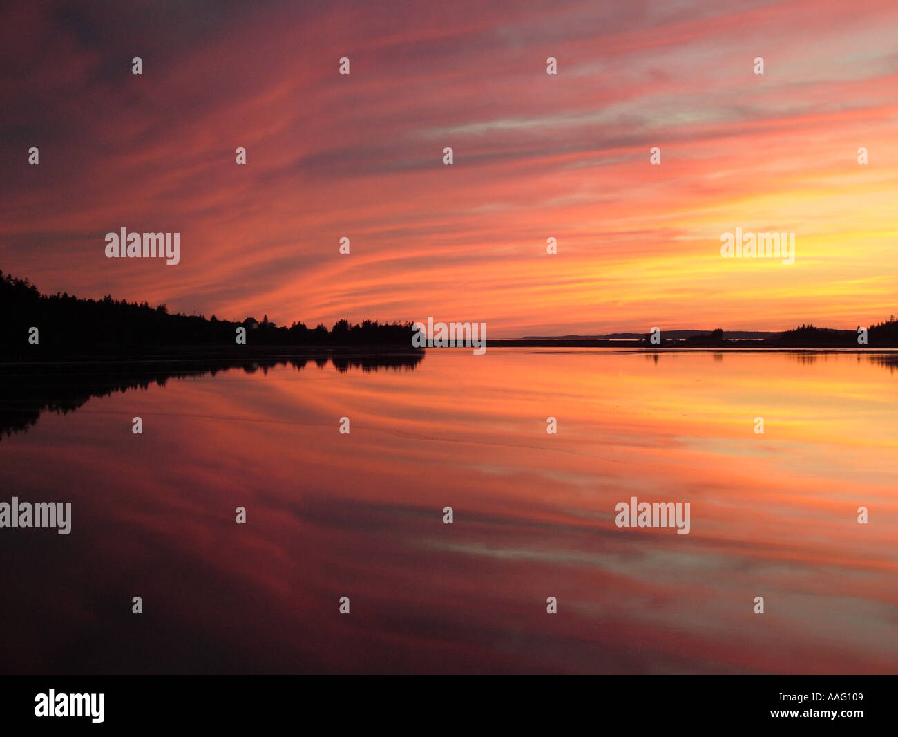 Maces hires stock photography and images Alamy