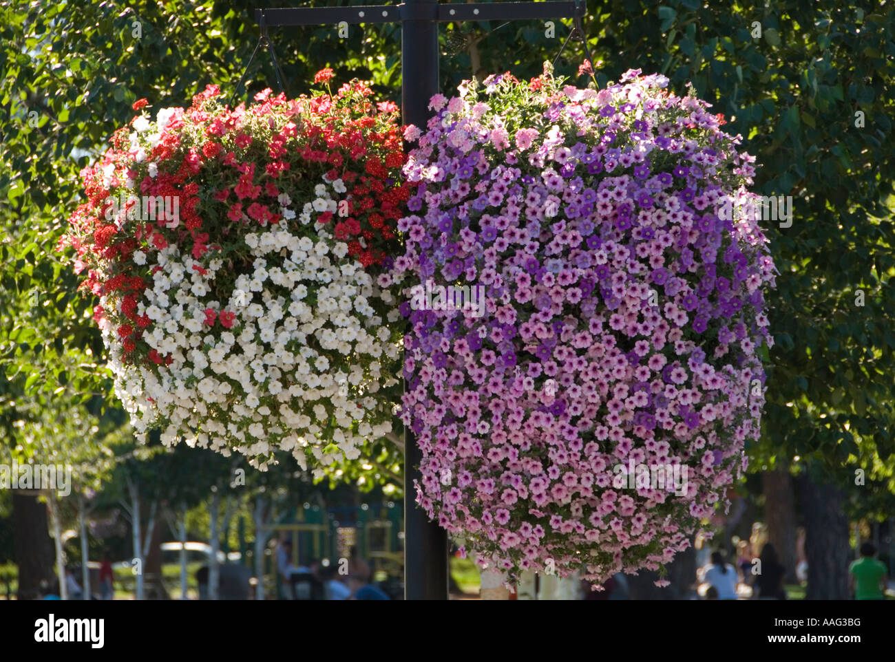 Decorative baskets flower hi-res stock photography and images - Alamy