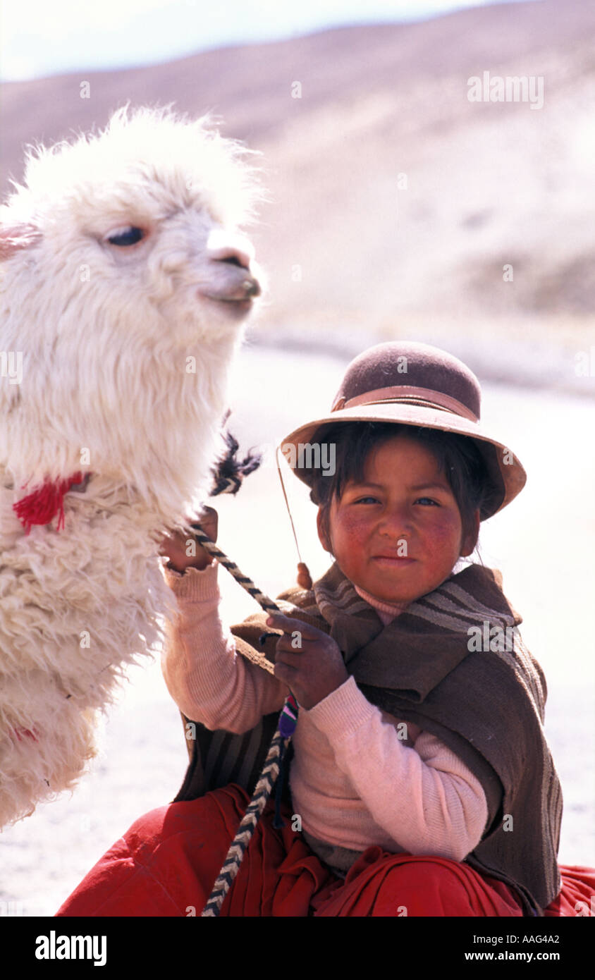 Young Quechua girl from the Colca valley near Chivay with a young alpaca Southern Peru South America Stock Photo