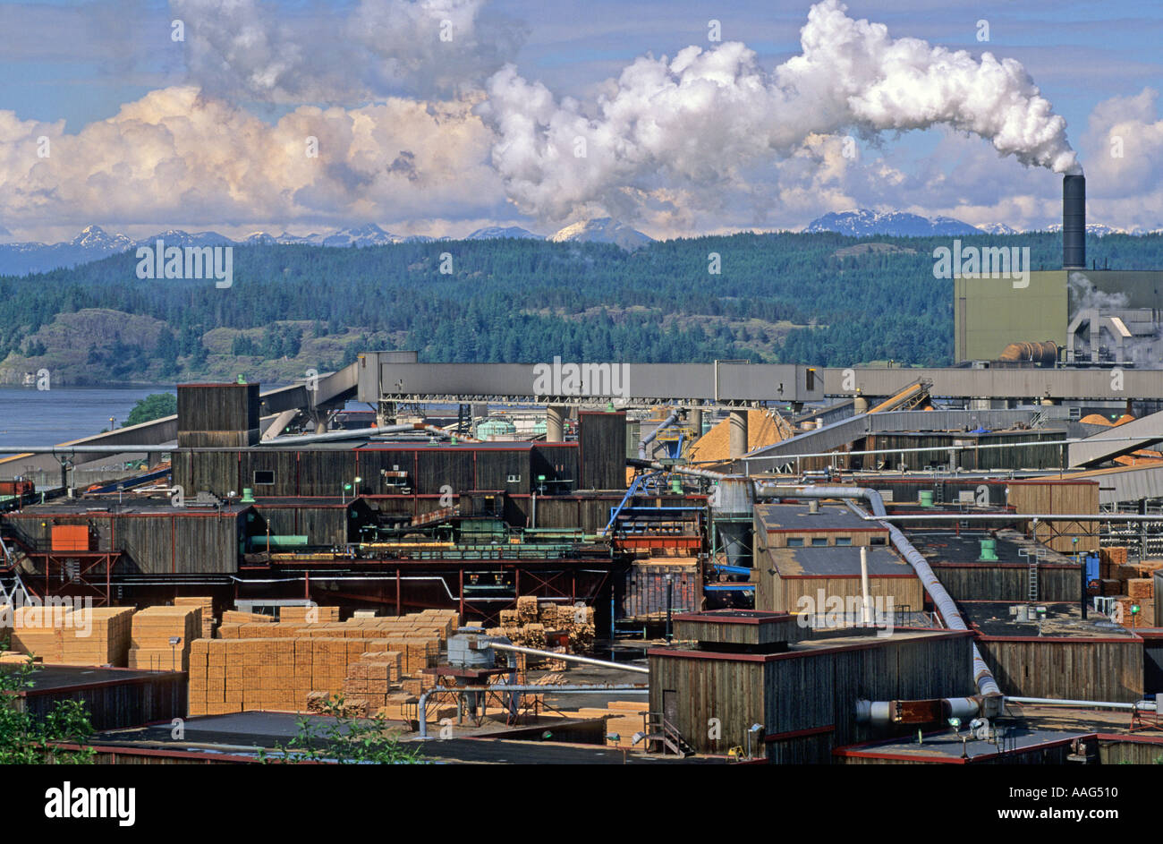 Elk Falls pulp mill Vancouver Island BC Canada Stock Photo Alamy
