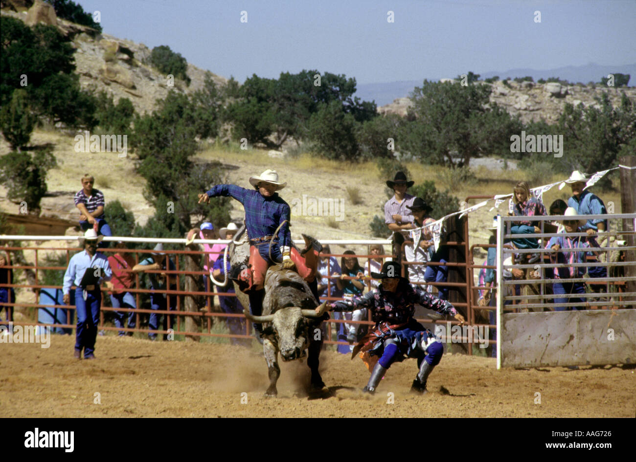 Bull Riding Colorado Cowboy Riding Bull Fruita Colorado USA Stock Photo - Alamy