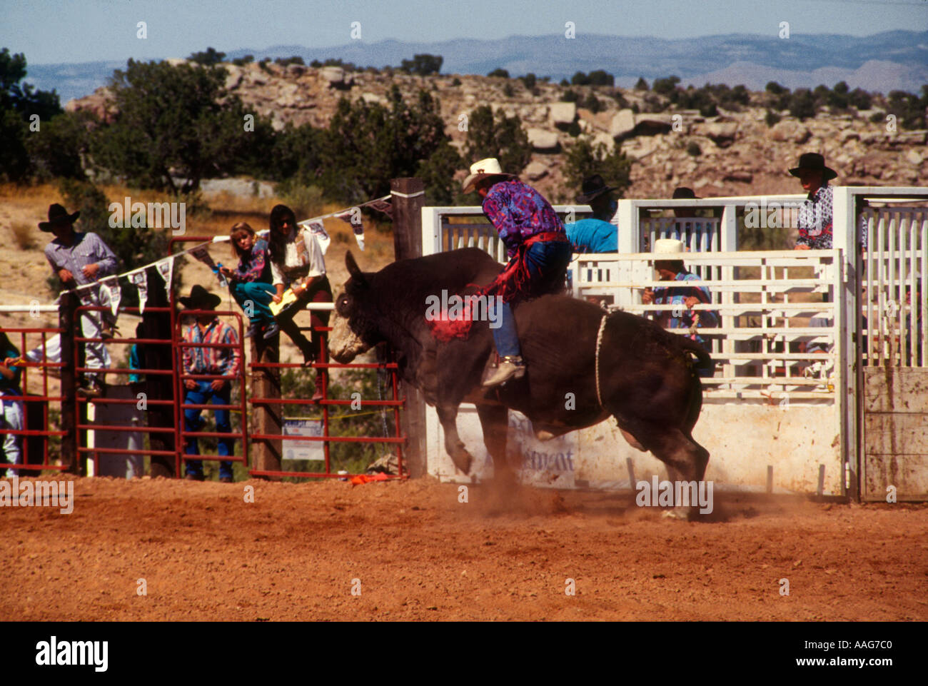 Bullrider Photo Frame