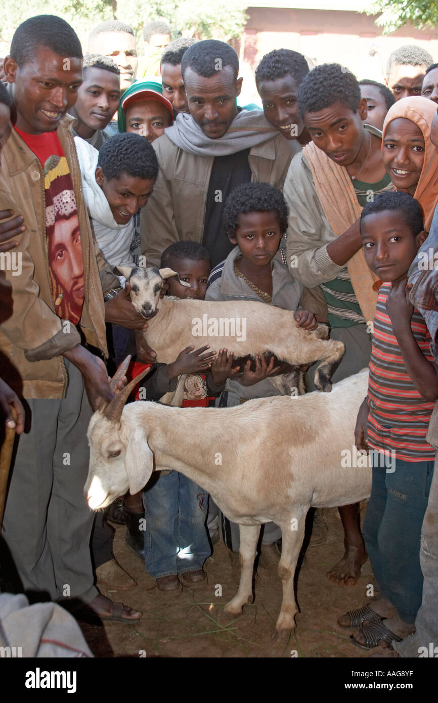 SES Scientific Exploration Society Blue Nile expedition 200511 Stock