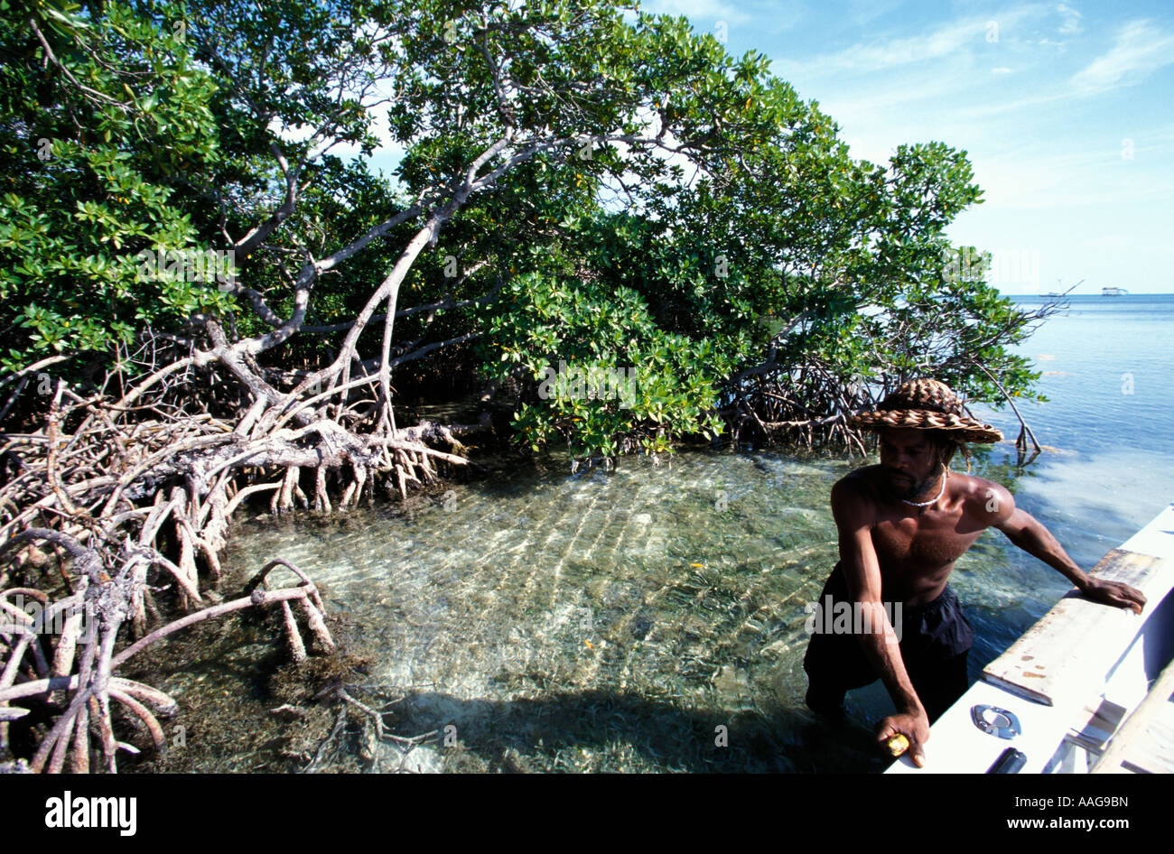 Guided tour Mangrove Caye Caulker Belize Stock Photo