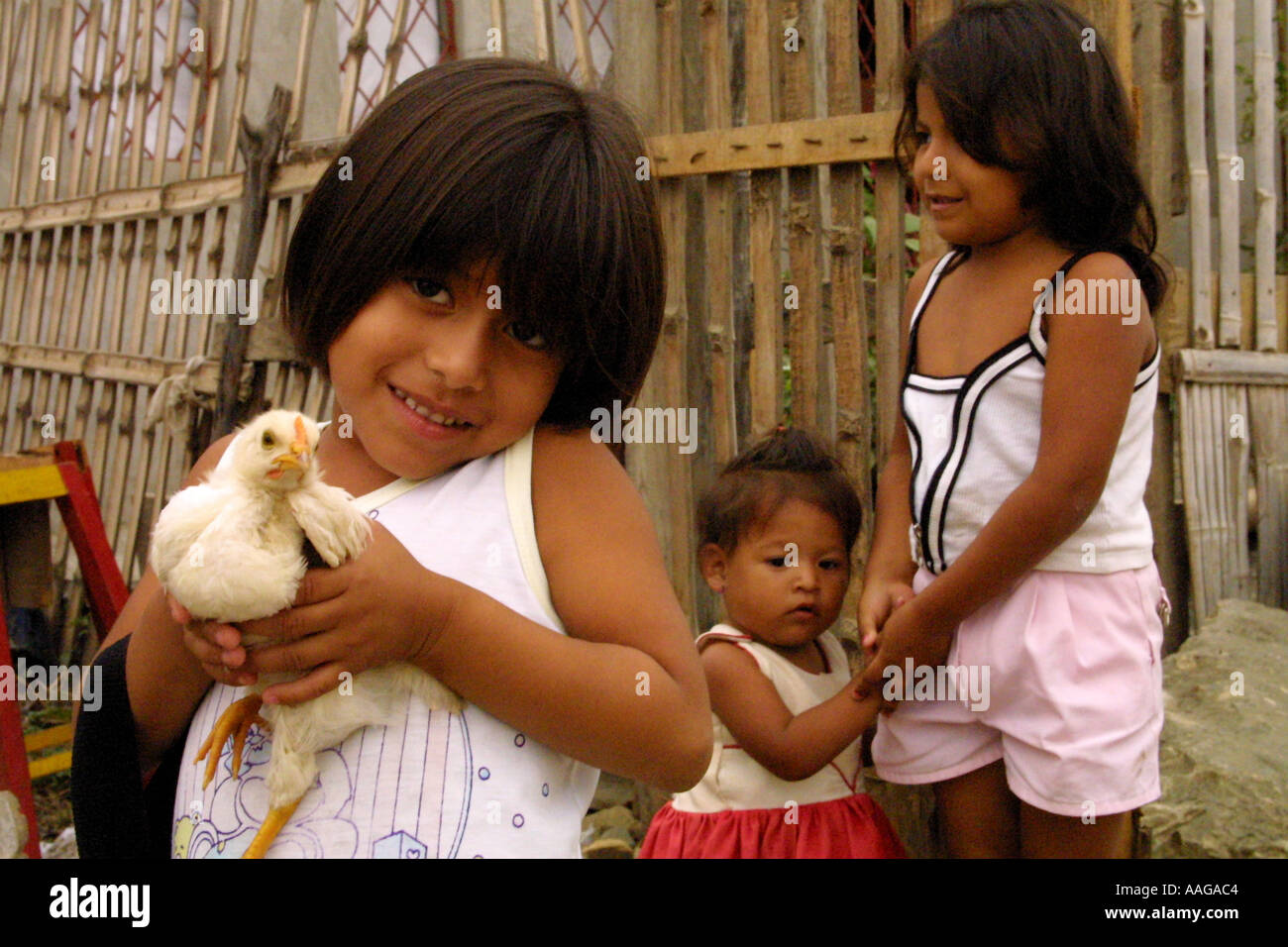 Isla trinitaria holds the largest population in slum conditions in Quayaquil. Stock Photo