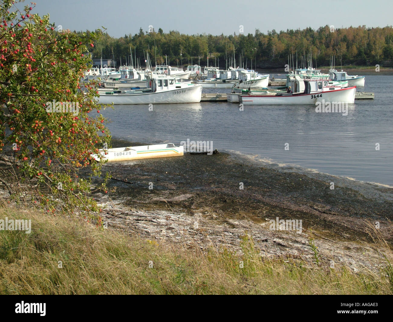 Kouchibouguac river hires stock photography and images Alamy