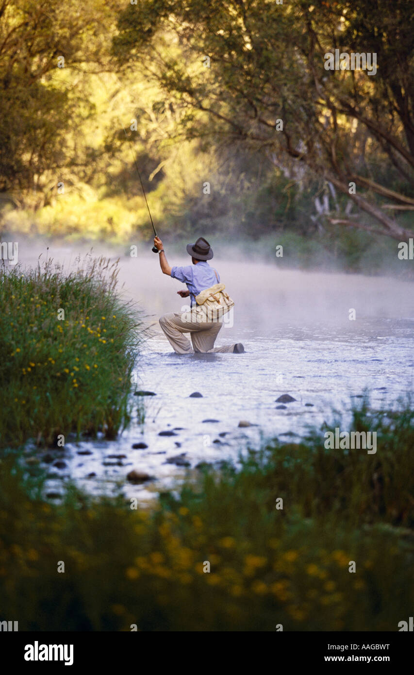 Fly fishing, Australia Stock Photo Alamy