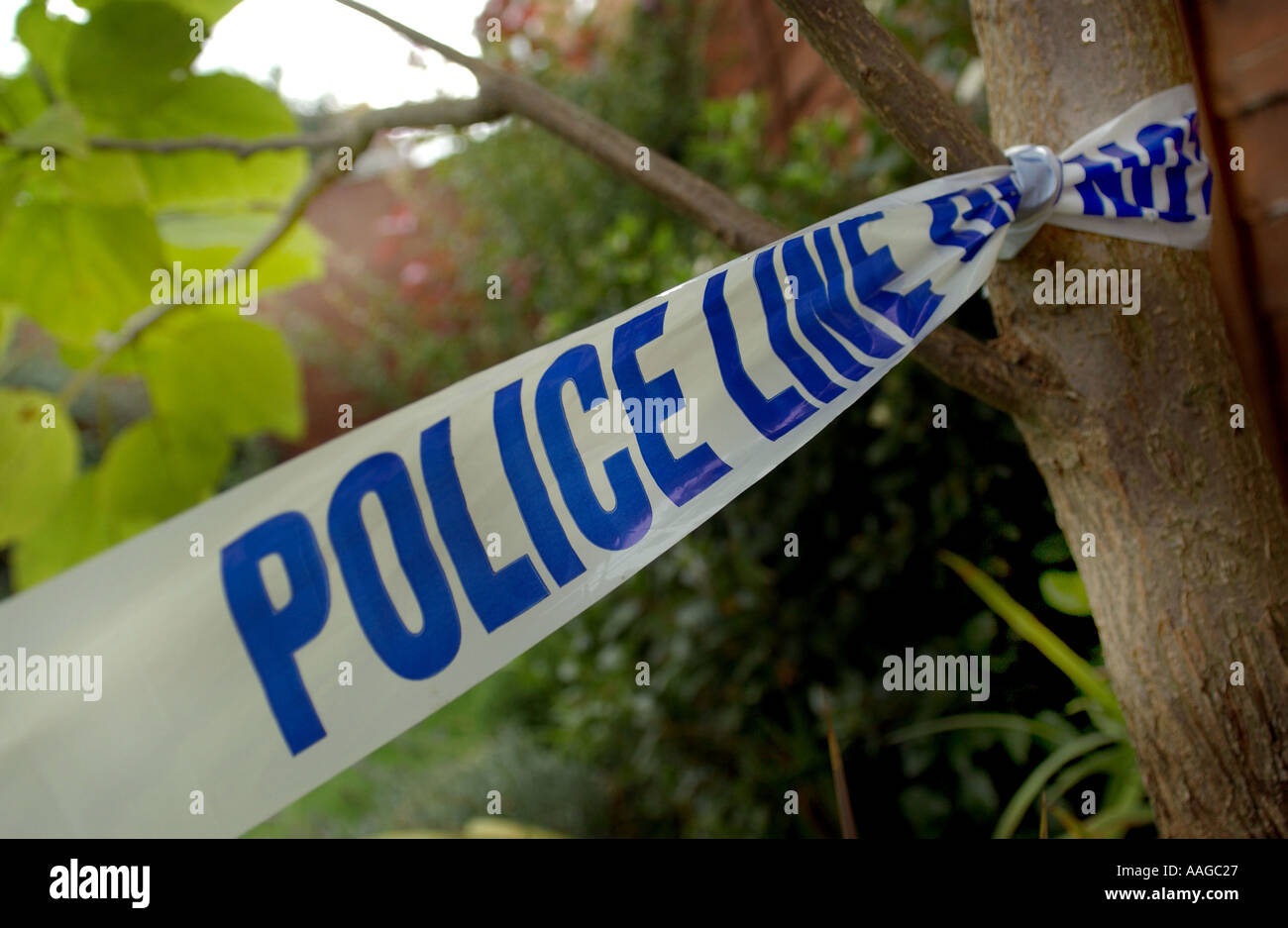 Blue And White Police Tape High Resolution Stock Photography and Images