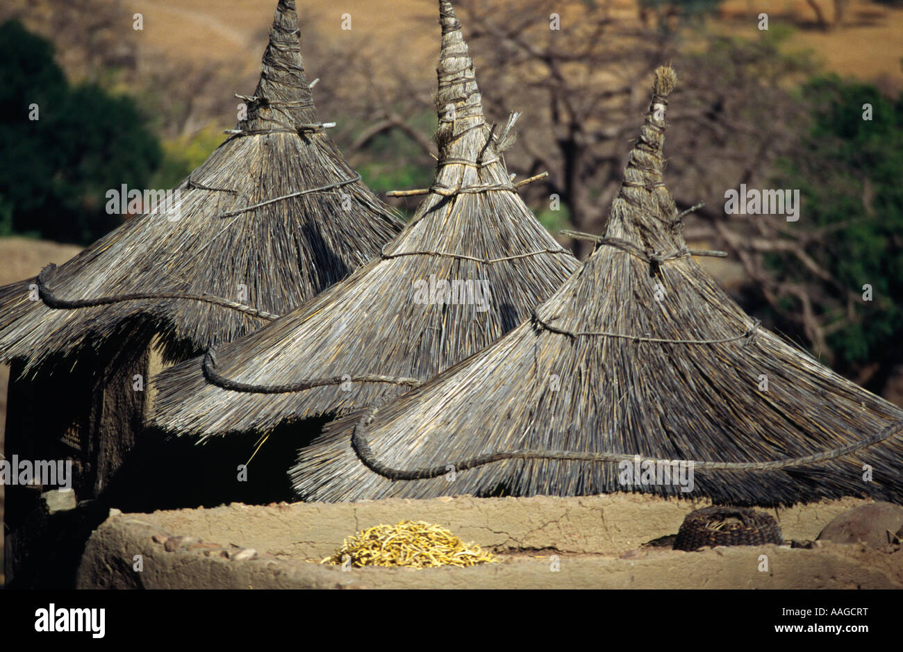 Dogon granaries - Pays Dogon, MALI Stock Photo