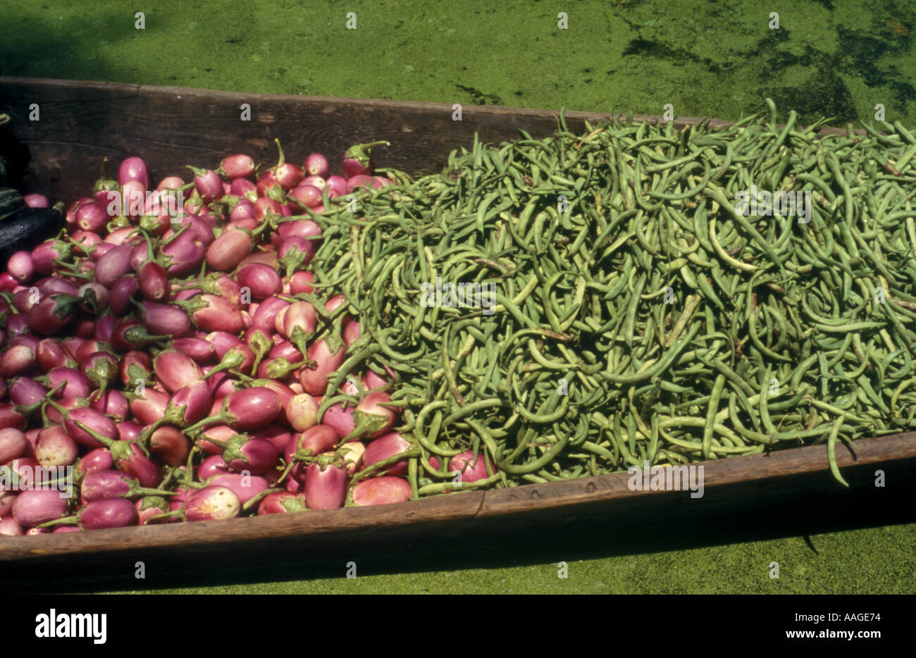 Vegetable vendor Dal lake Jammu Kashmir India Stock Photo Alamy