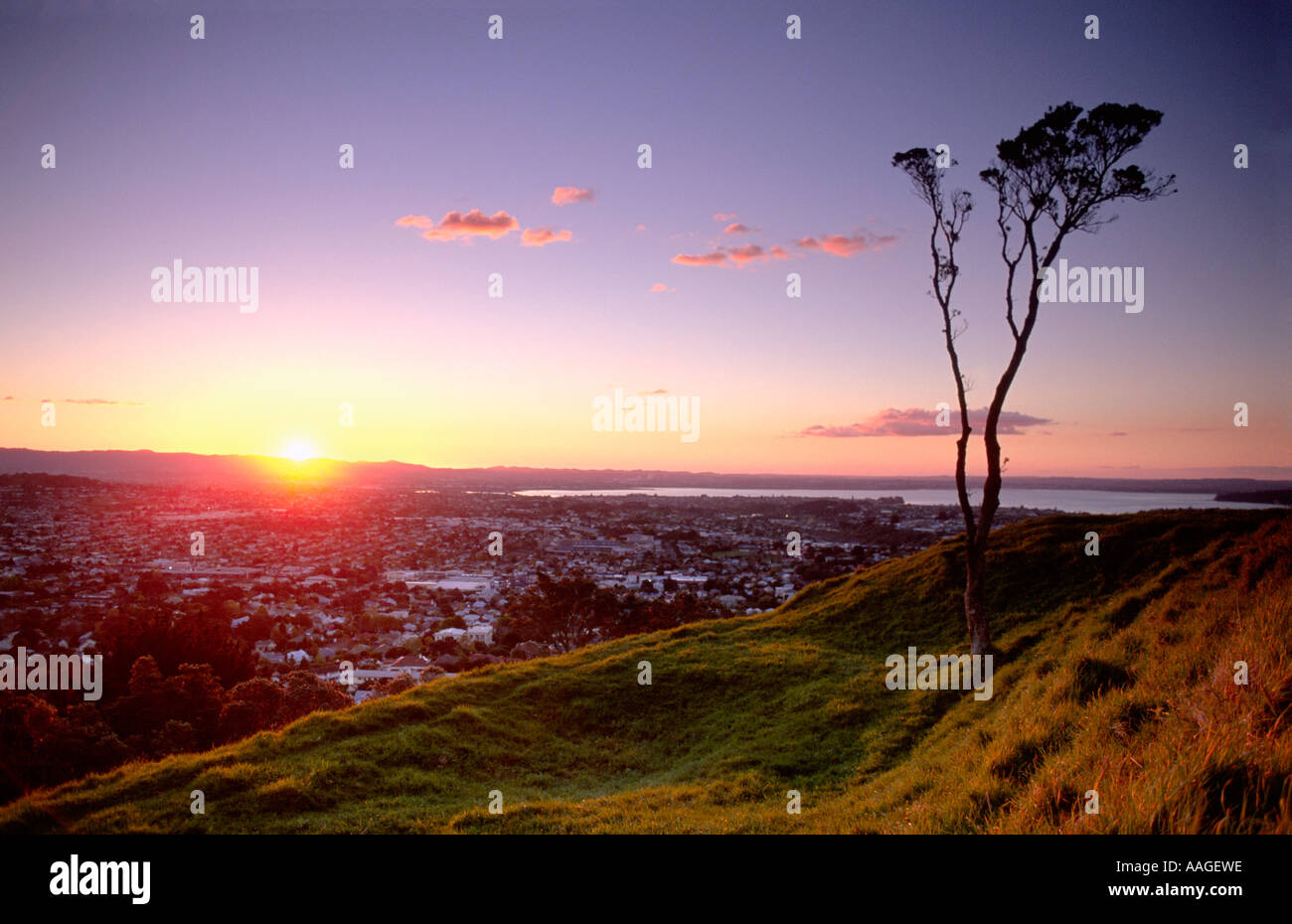 Sunset in Auckland North Island New Zealand Stock Photo