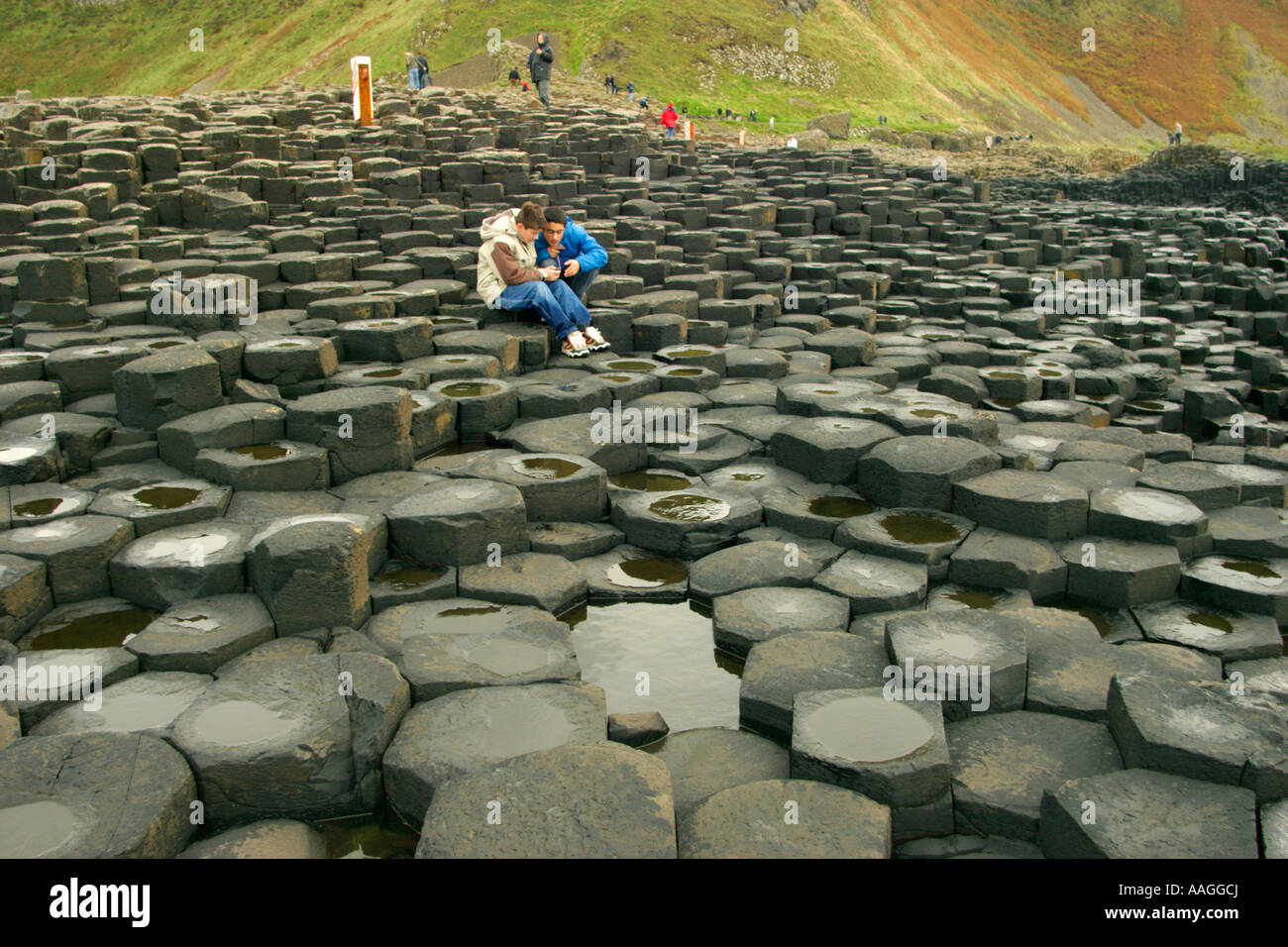 basalt pillars at Giants Causeway in County Antrim in Northern Ireland Stock Photo Alamy