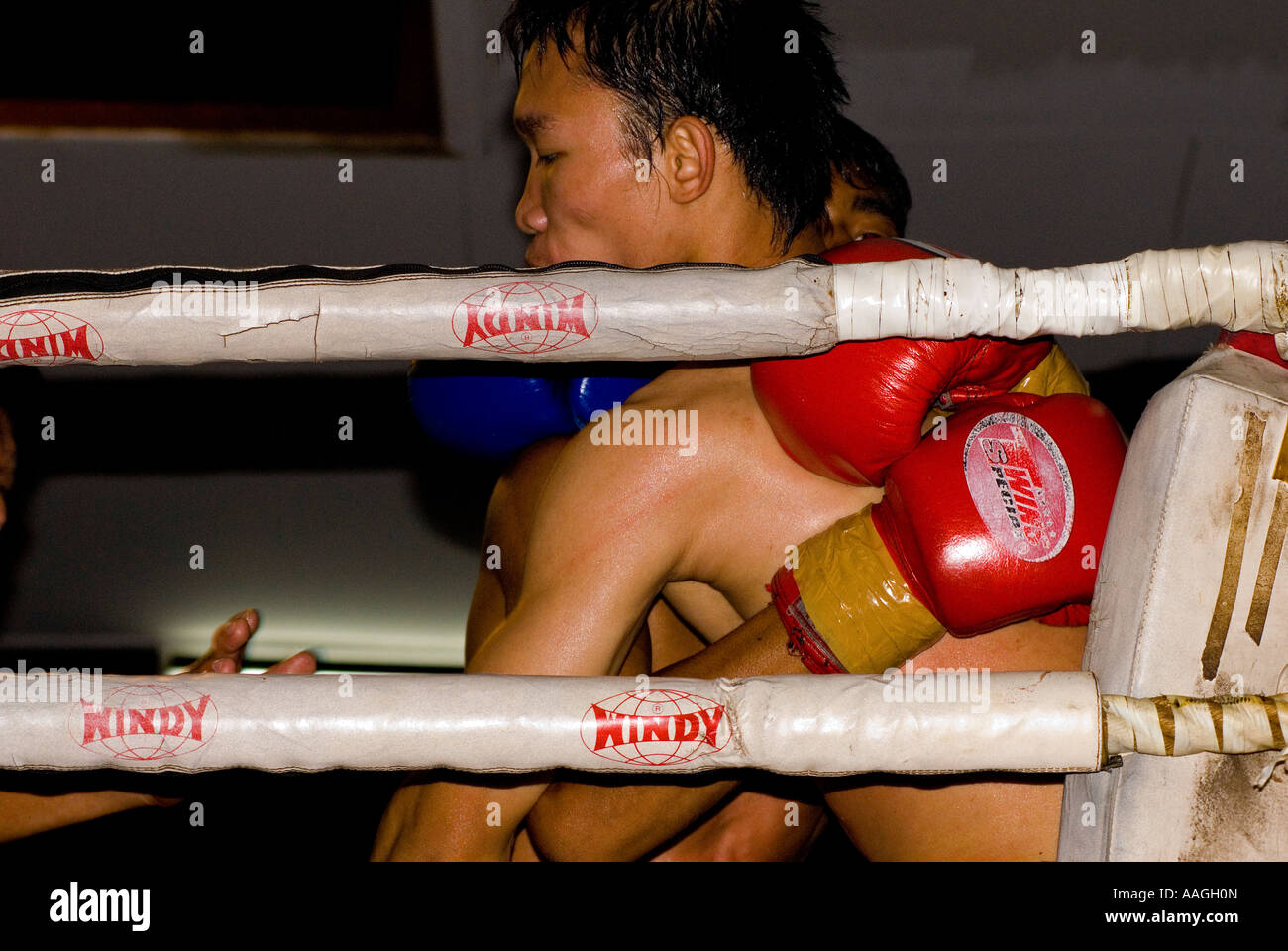 Muay Thai Kick Boxing Kavila Boxing Stadium Chiang Mai Thailand South East Asia Stock Photo